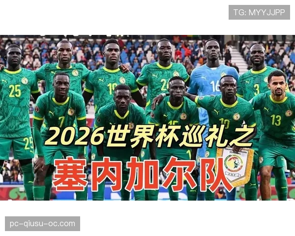 塞内加尔2026世界杯会不会爆冷出线